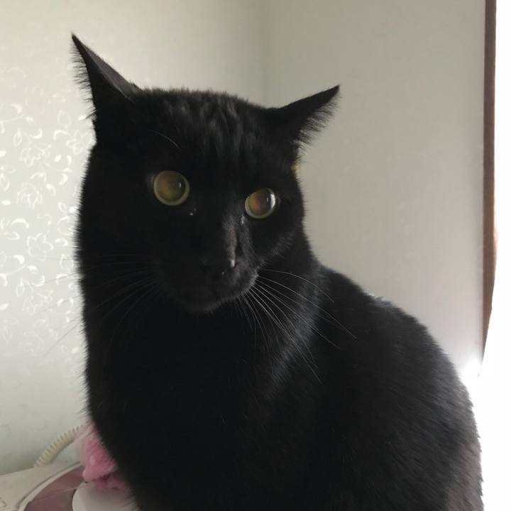 9b9ea0e0 2db7 471e a7a9 a9ccadb83de3 1513992477532