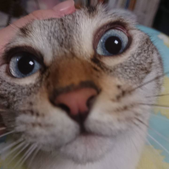 9b9ef778 5419 4014 b480 fac360713088 1565171238672