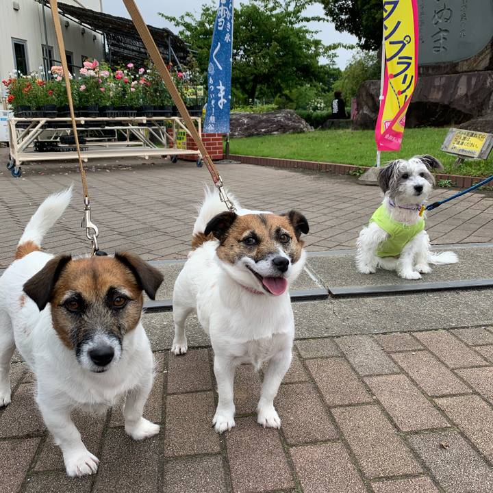 9b9f03b0 6f69 40c6 aac5 d93a01e82839 1621676591126