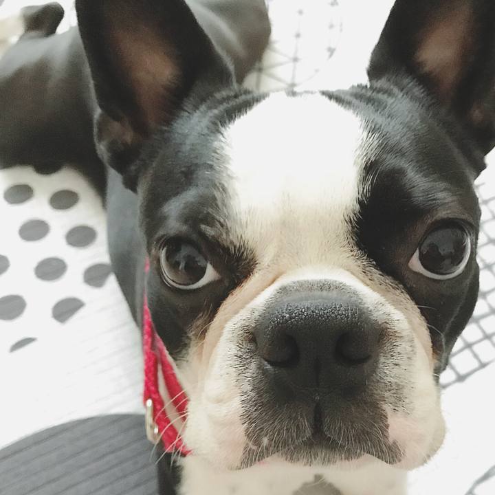 9b9f679b e90c 468f 8821 34396e73941e 1523937324260