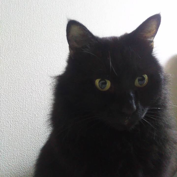 9b9f8bd4 e0ae 4f9a 832f 6bddde75d14d 1571527169441