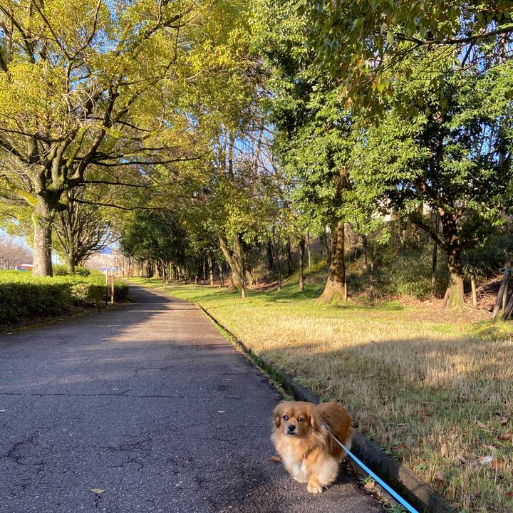 9b9fda22 7cb4 4617 877e f10eec08a1f2 1584229699812