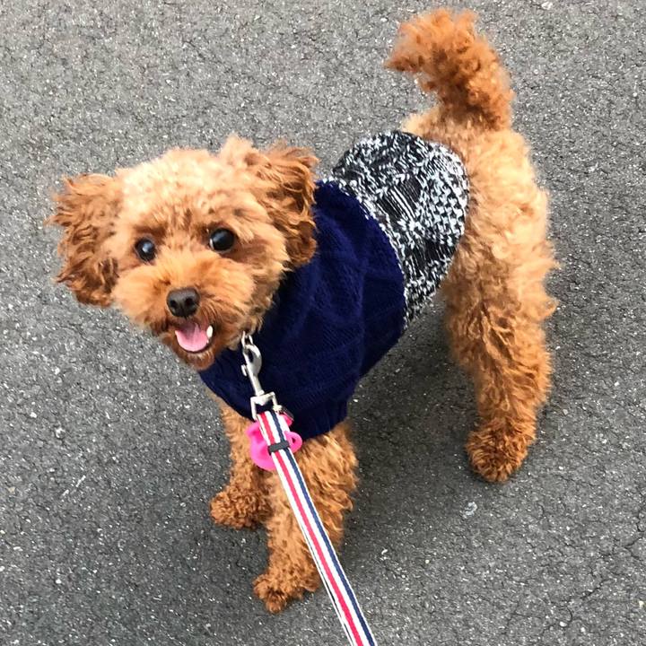 9b9fdcbb c6e3 456a 8011 ac81e2539815 1541197861084