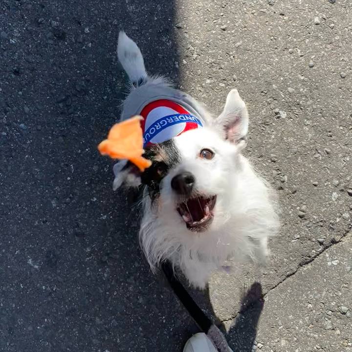 9ba03ee9 7767 4d65 94c0 fdcb12a8c4e1 1709429047856