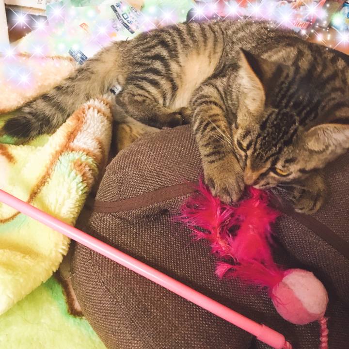 9ba042b2 1475 448b bce8 3c0fcc65b9fd 1539299765227