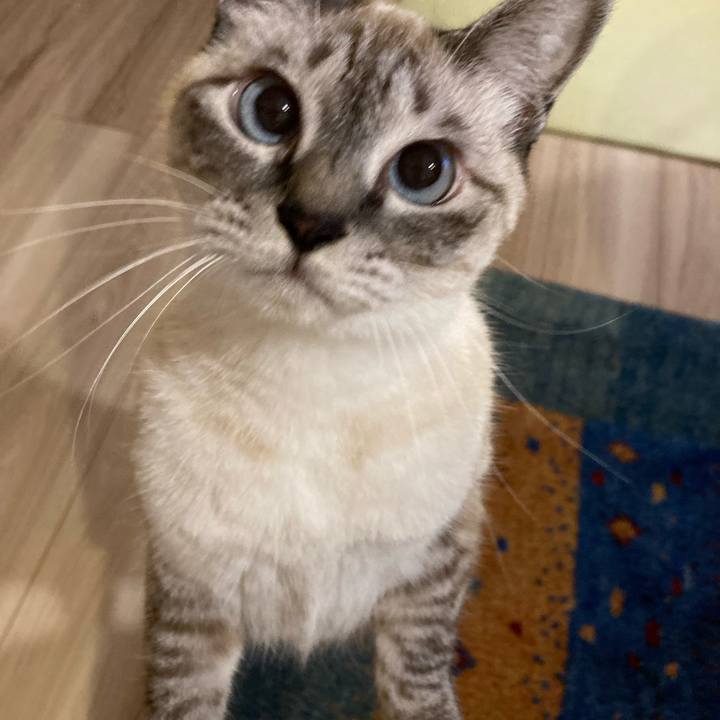 9ba06479 9d1d 4a2b b508 45b99c93265c 1634645871870