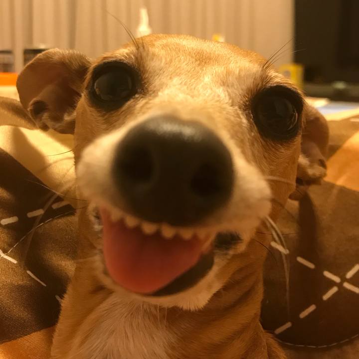 9ba09006 428e 4ef7 a400 d60f9576f5a6 1512736659881