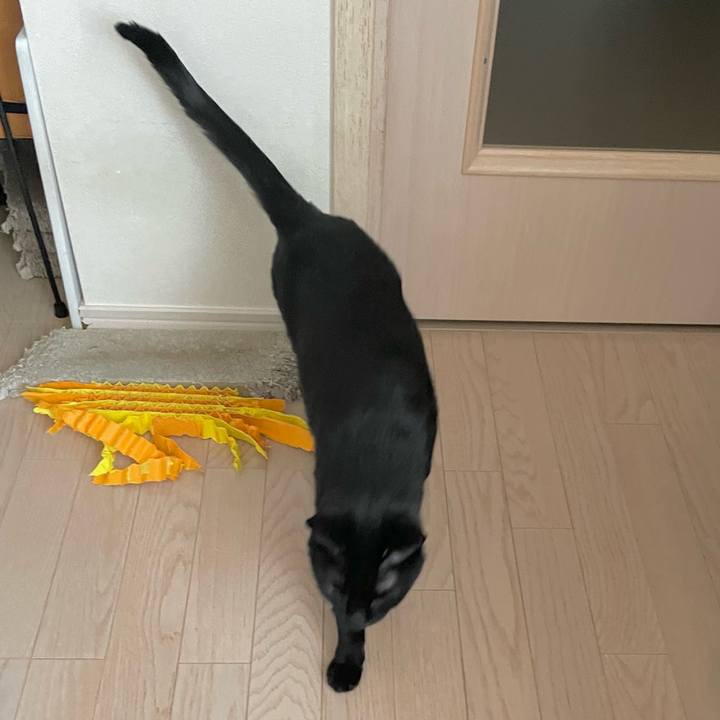 9ba094c3 32ed 4b75 8ec1 a07aec46a40d 1707694615925