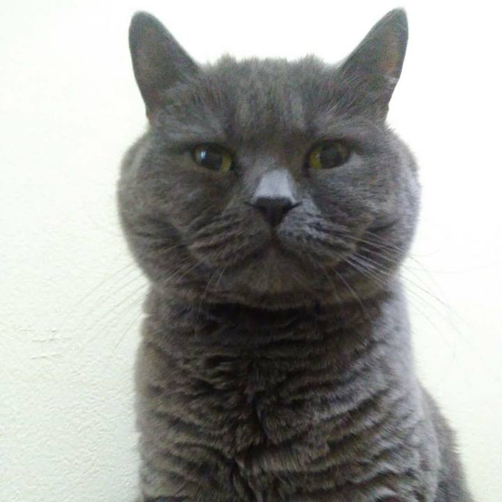 9ba09805 08d2 4190 b147 64d313ebbdc0 1564183020784