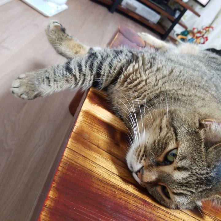 9ba09a30 564c 4319 9e0e 1933907863b2 1564400975150