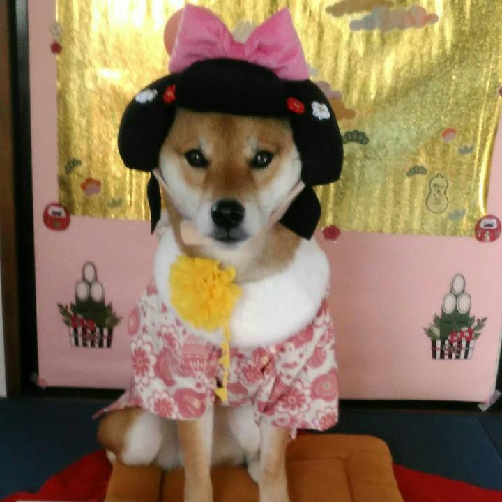 9ba0a07f 8b4e 412b 9fd4 6580cf76d132 1513417315436