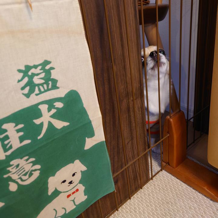 9ba11412 30ef 4a10 ba87 9f18fd224609 1713948173623