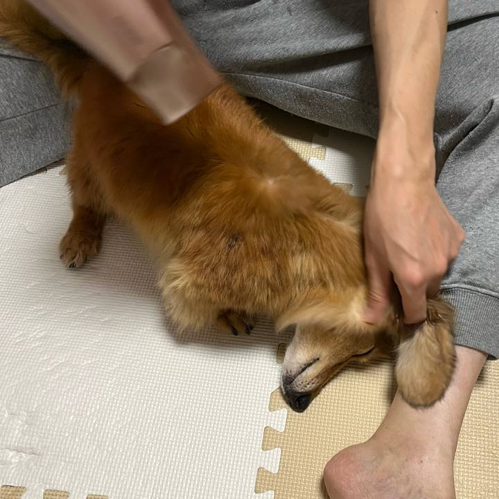 9ba14c8d 8def 4470 84fd d6000eab4117 1637241687476