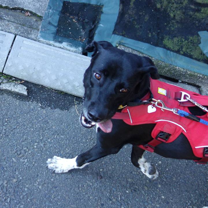 9ba168fa 3ee6 4c8e a4fb 4a2bb333fdc3 1590712207199