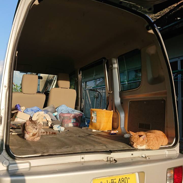 9ba19250 e896 4e01 a9e5 0469ec6f6a21 1597268245440