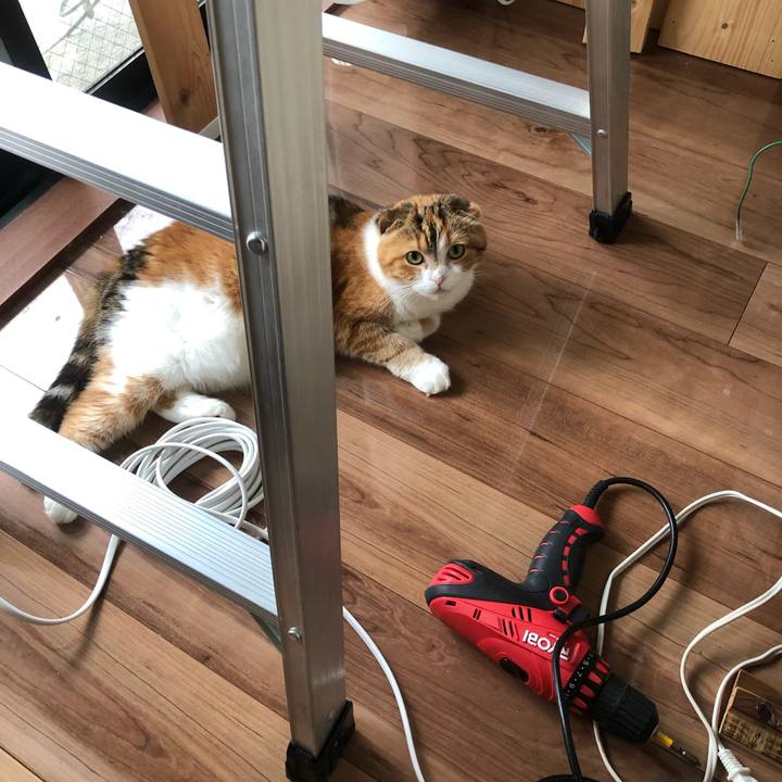 9ba198e4 bdeb 463e a516 b6a5999c881a 1592107020215