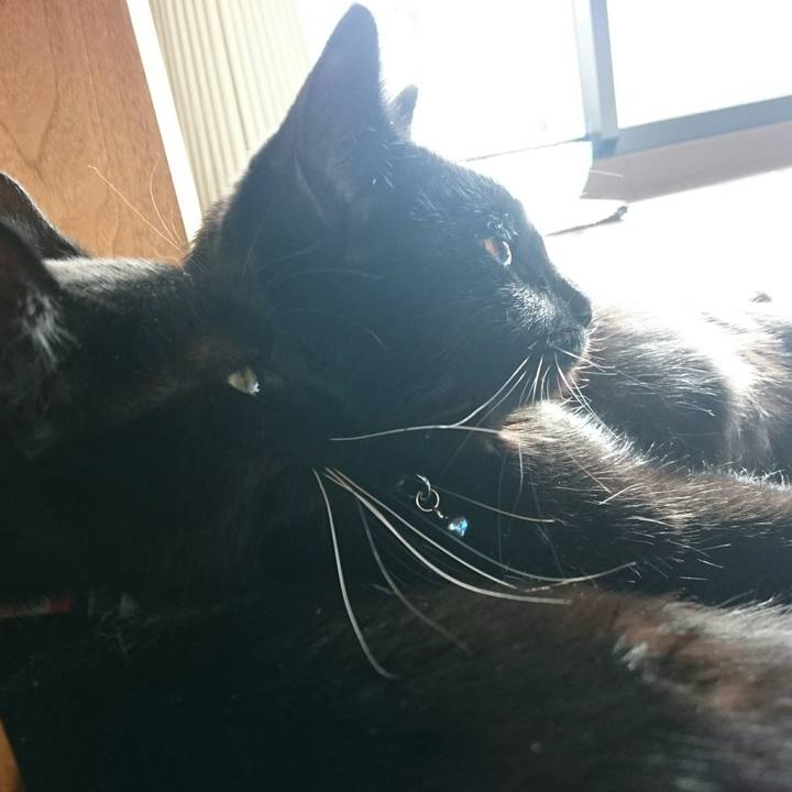 9ba1c05e 24d3 428a 82c7 7b3ef3bda000 1517019358424