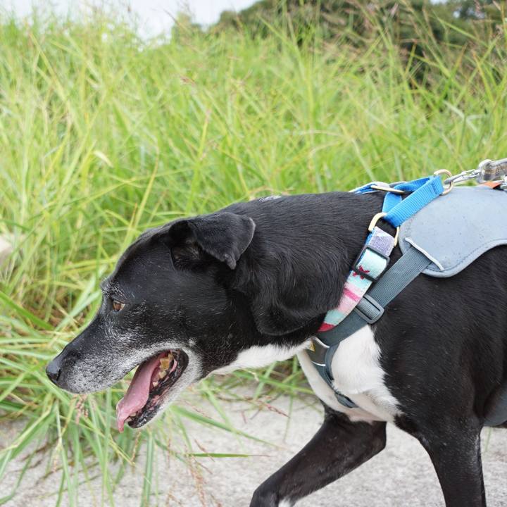 9ba214f4 c99f 463c 8325 059bc15161ec 1759189622913