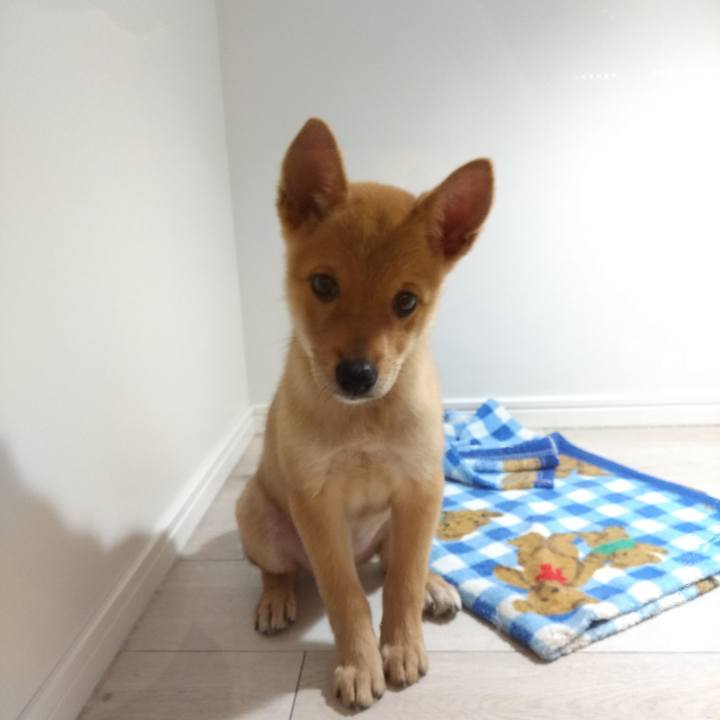 9ba22994 c1f3 4c1d 8c6a 83b64fba4369 1574689199044