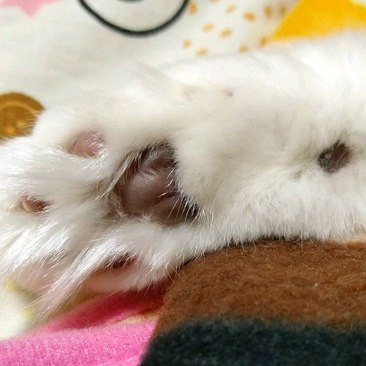 9ba277b1 e8d6 4197 8ce0 c048f8b5c0b1 1585174254835