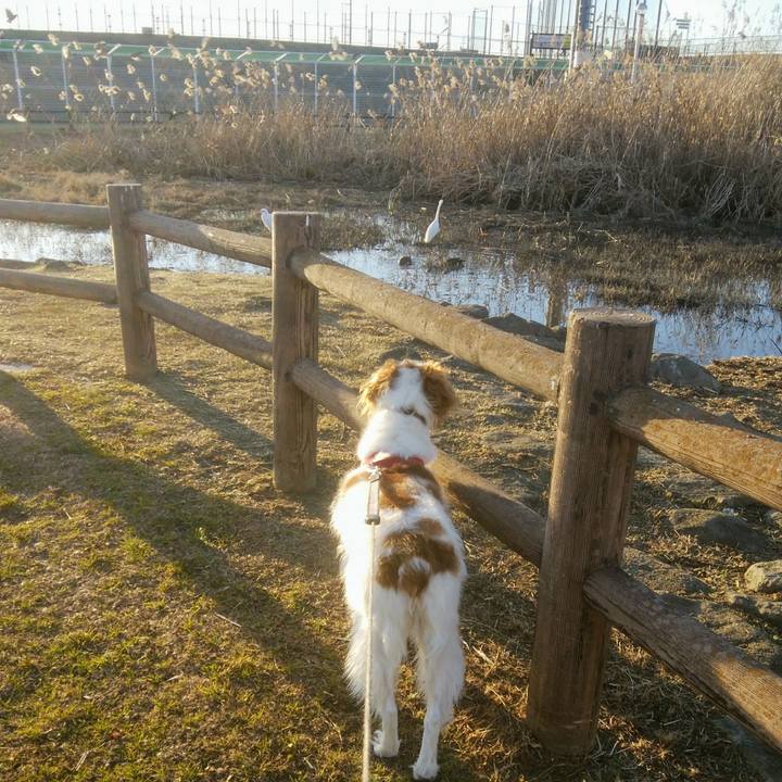 9ba28501 faa8 4206 abe7 363e34200797 1548502484105