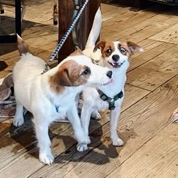 9ba28c5c 86d4 48f2 9a2b 5f180dc860e9 1754316900008