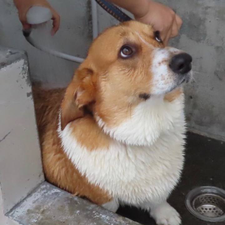 9ba2af02 1964 4d2d 9adb e6c2a398cc14 1652435815552