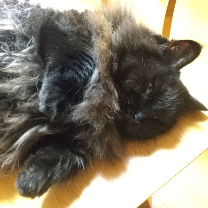 9ba2bd19 e5f4 48a2 979b 8f93d63f6f00 1662292759604