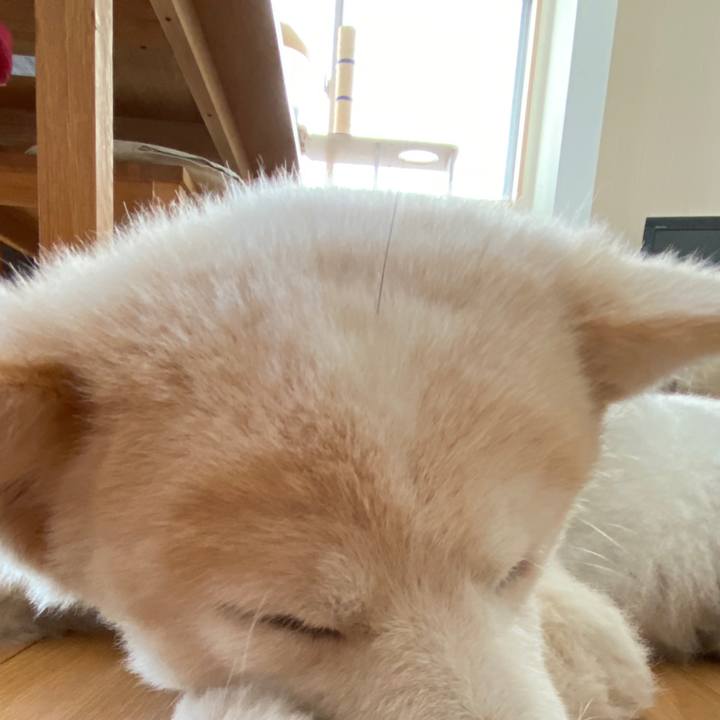 9ba2ff8a 596f 453a a0ab f9f98d6c13f9 1661158991295