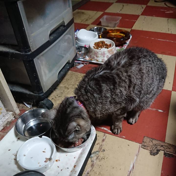 9ba33e7d a9e8 4f38 9b20 dd07496aedec 1595791772109