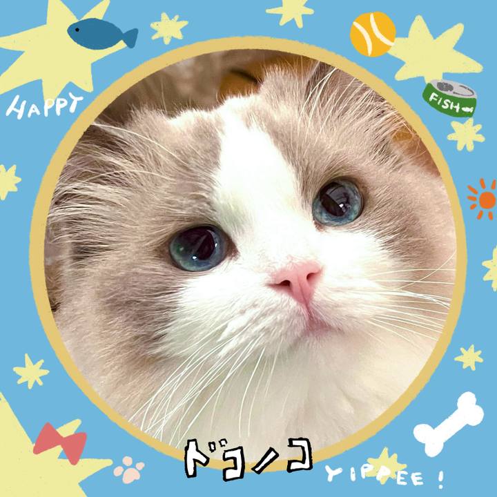 9ba3554b 57f2 4408 a668 d9944f76560b 1721030090784