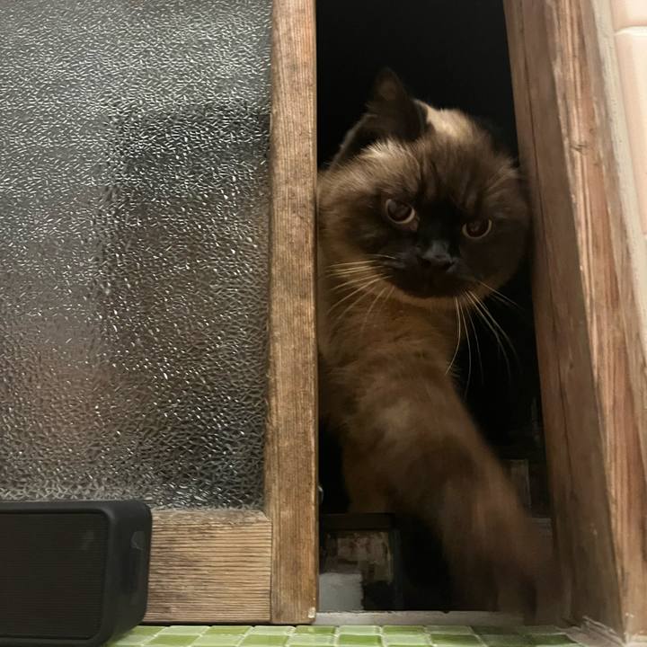 9ba35af3 5df6 4c8e a748 35ab49a2ad75 1644278776595