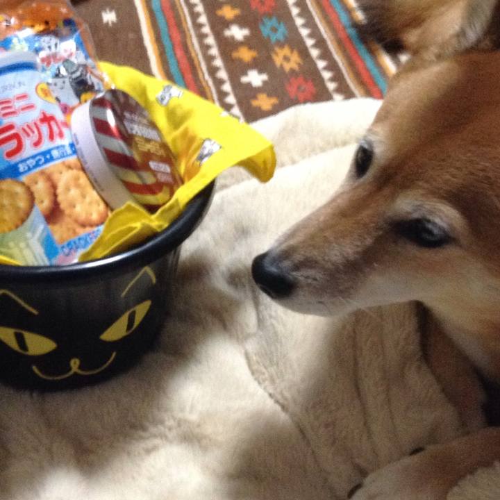 9ba35dc2 5056 4eb6 803e 8049cde29b4f 1540976703629