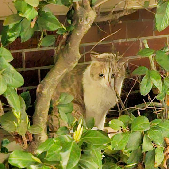 9ba35f75 649b 4014 ac1b 7545face79b9 1744292270634