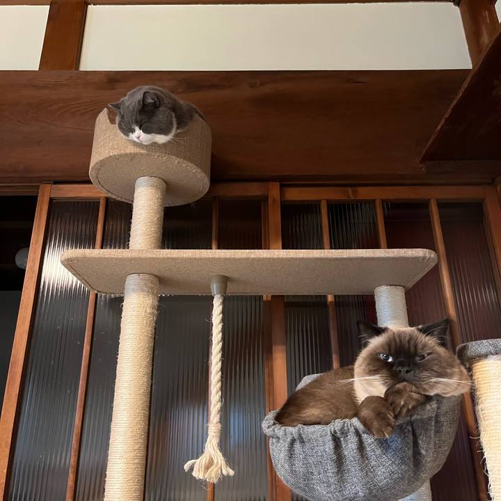 9ba361d3 ce4b 4b04 ae59 24985e936c84 1637738962151