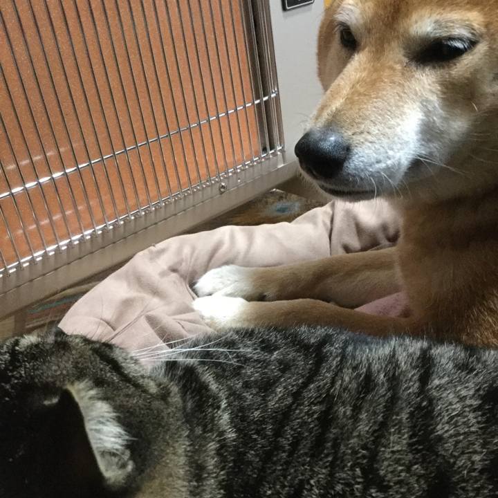 9ba375fa 4c5d 4a85 a804 b9976eba350f 1545784342873