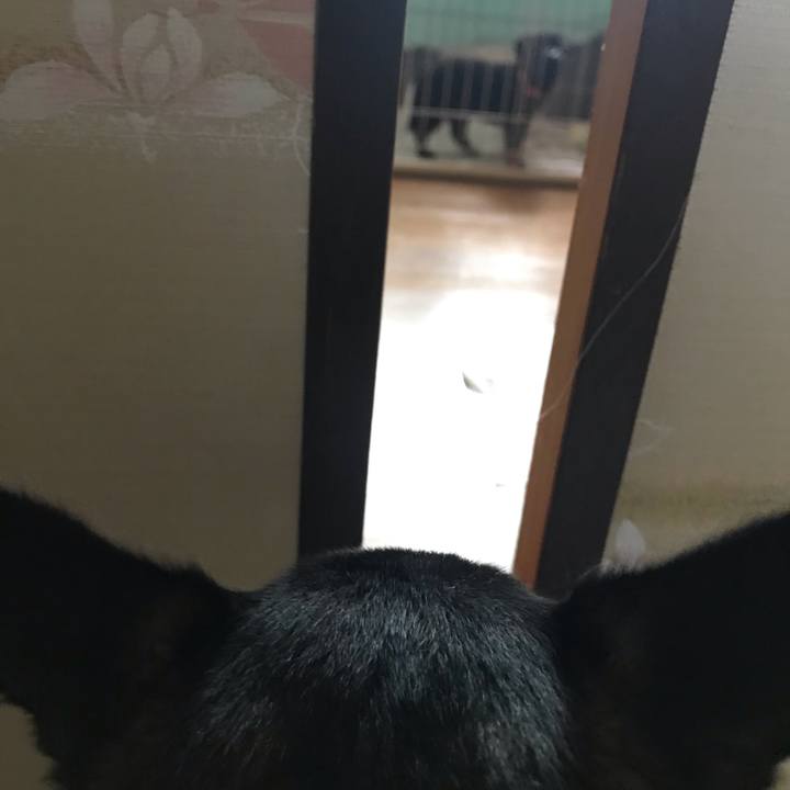 9ba3844c 53a6 4b71 986d d310096dfdc9 1567216551102