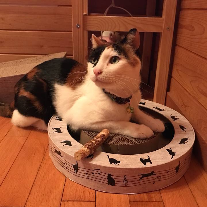 9ba3983f 1cda 4fac 9f9a 4c151520a40e 1523872094524