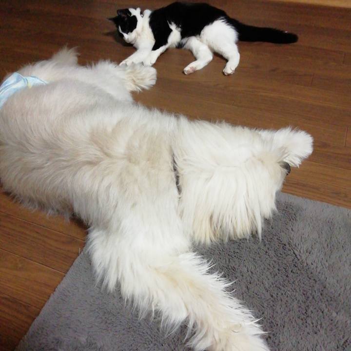 9ba39cc2 d5c4 4dfa 8925 c59386bad1e0 1581074531109