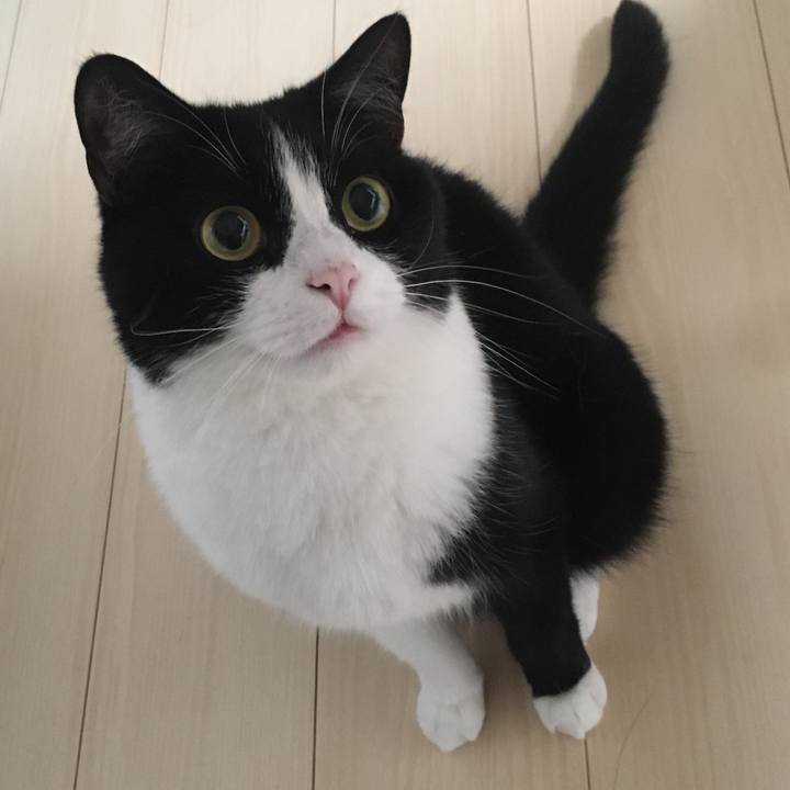 9ba3ae68 2da4 471b 8a8d ad2f00c7b8ea 1596098172878