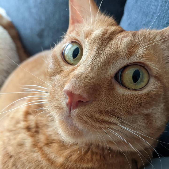 9ba3afcb cc2b 4e0b baa7 33fee4bd0380 1655454208972