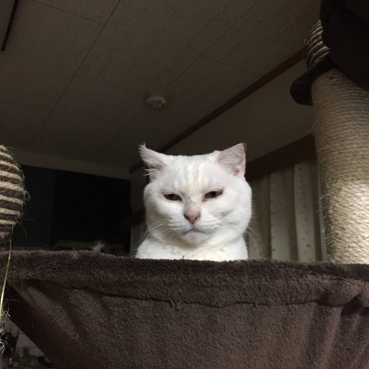 9ba3d084 6e87 4e02 ae33 f123f6d74f58 1521735996958