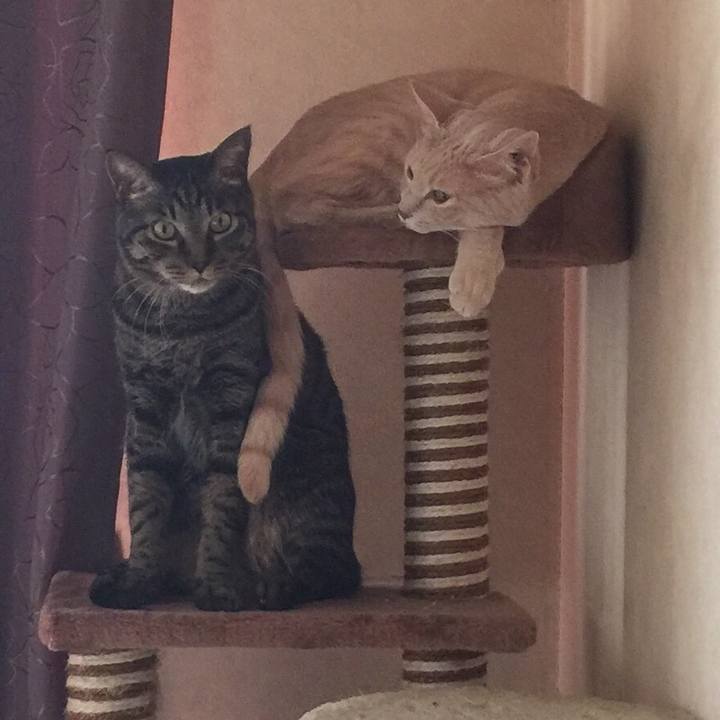 9ba3d89d 1505 4419 9bd2 de6bff966323 1542633755794