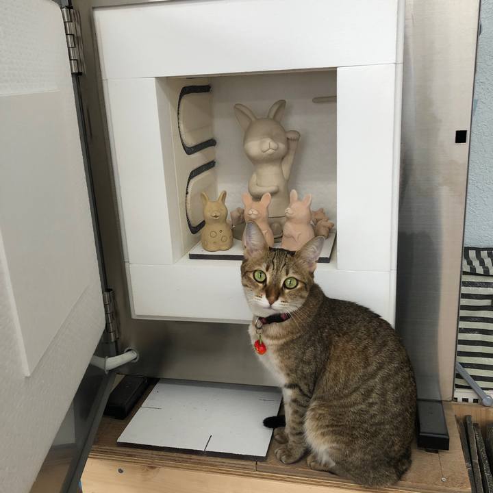 9ba3e7f1 e735 4ce2 8adb 2657e1191694 1664855944966