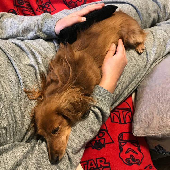 9ba42fe1 172d 4302 9ba7 cf3dde3b684d 1511776219176