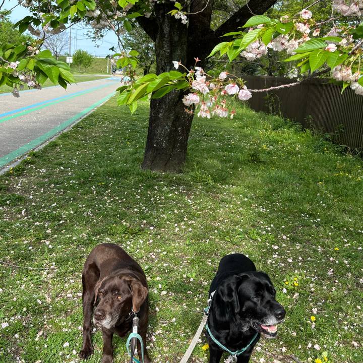 9ba43df6 b6a8 4ce3 a861 33e3fa1b8abf 1776516033572