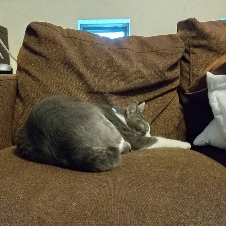 9ba453db 1613 4d8f 8376 87f985091347 1620904498881