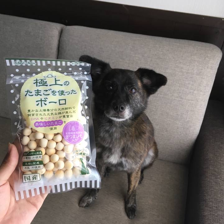 9ba45b86 934f 429f 8ca9 b027094101cd 1535633231867