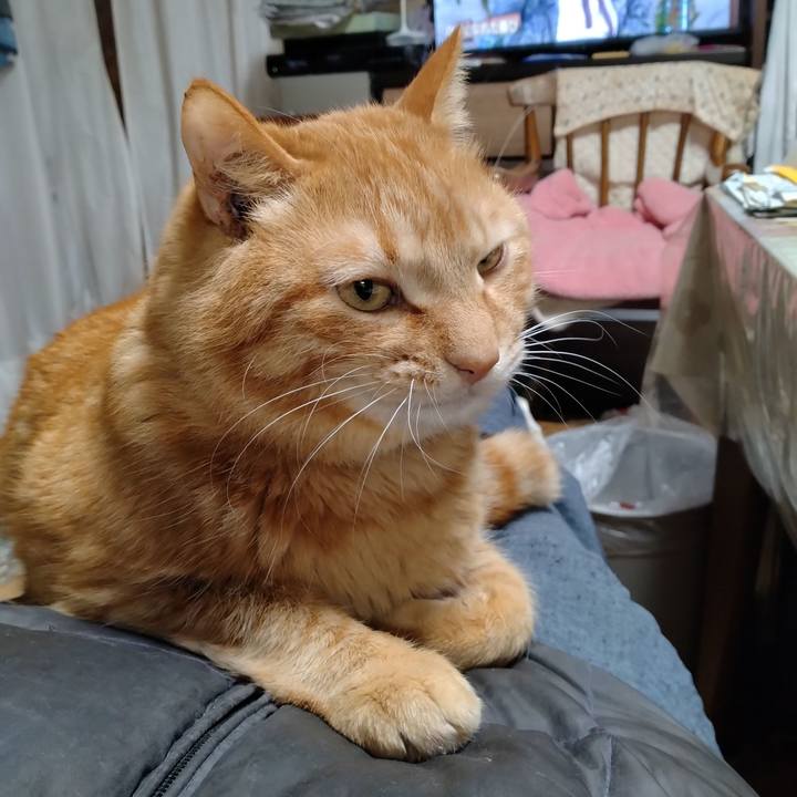 9ba470ea 0dcf 4634 96e5 43b2c10f4c07 1710244692538