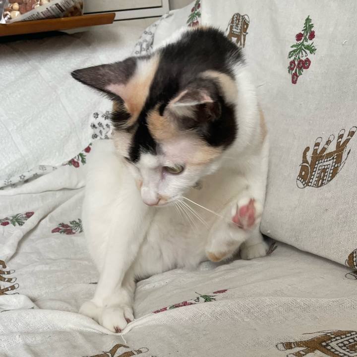 9ba47a2a ac27 4ca6 b87a 7c8b34518de9 1696287031276